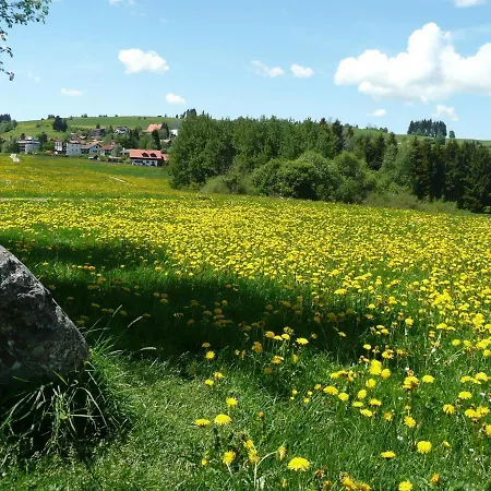 Apartmán Bergkiefer - Oy-Mittelberg