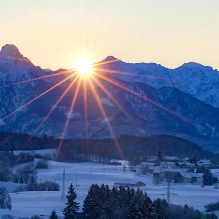 Bergkiefer - Oy-Mittelberg