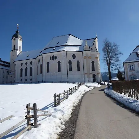 Bergkiefer - *