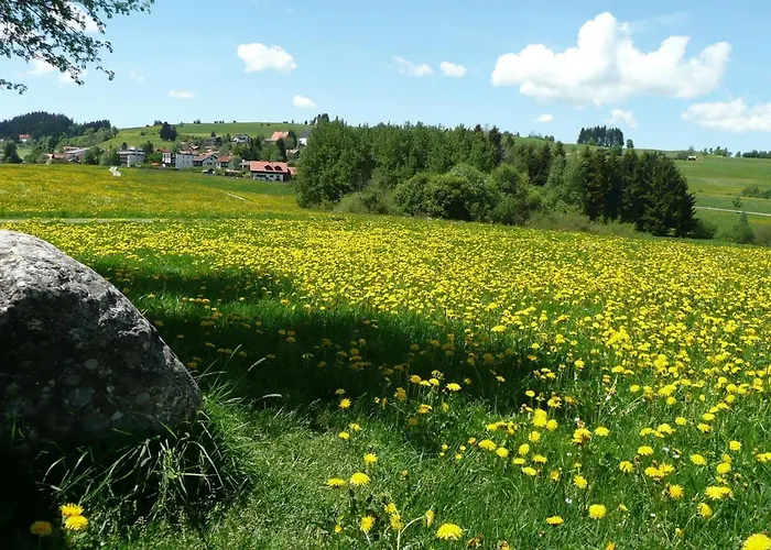 Apartmán Bergkiefer - Oy-Mittelberg