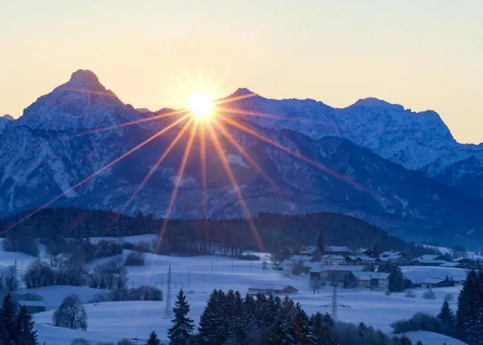 Bergkiefer - Oy-Mittelberg