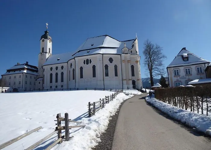 Bergkiefer - *